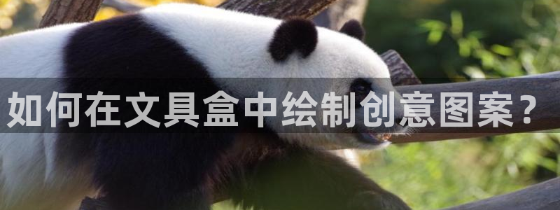 卧龙娱乐挂机平台有哪些