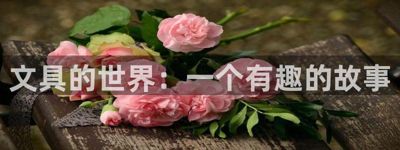 卧龙娱乐怎样注册公司：文具的世界：一个有