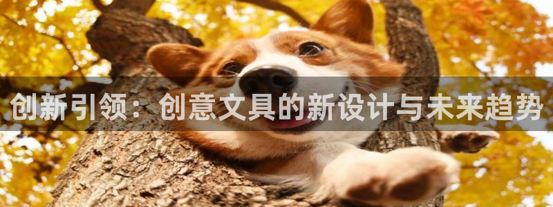 卧龙湾娱乐休闲会所电话：创新引领：创意文