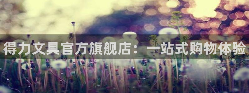 卧龙风雏娱乐：得力文具官方旗舰店：一站式