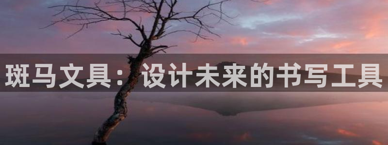 pt娱乐 卧龙主管60447：斑马文具：