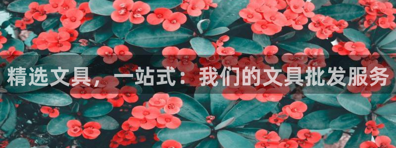 卧龙水上娱乐：精选文具，一站式：我们的文