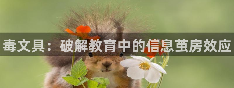 卧龙居餐饮娱乐：毒文具：破解教育中的信息