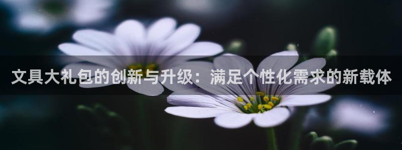 卧龙娱乐招商：文具大礼包的创新与升级：满