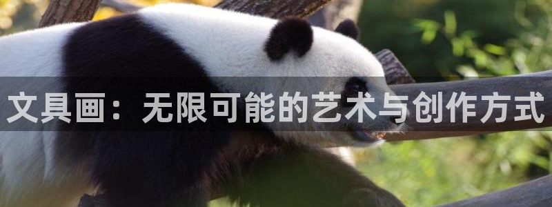 卧龙娱乐招商主管：文具画：无限可能的艺术