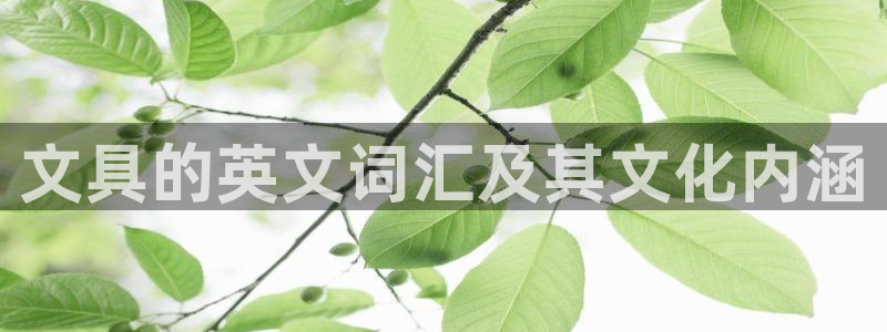 卧龙娱乐滴qv382223：文具的英文词