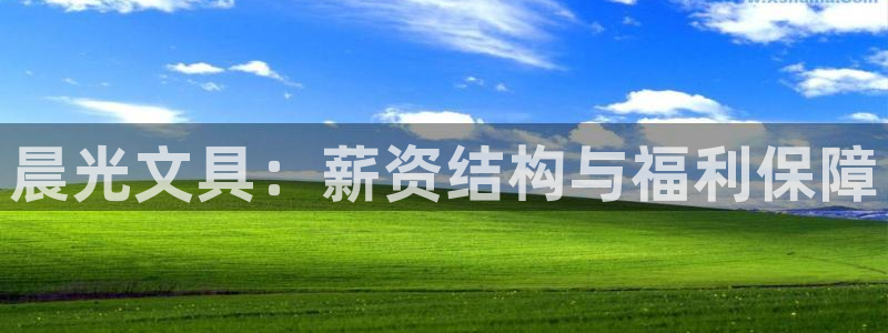 卧龙娱乐注册登录：晨光文具：薪资结构与福