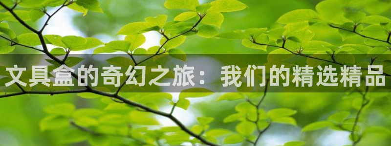 卧龙娱乐老板是谁：文具盒的奇幻之旅：我们