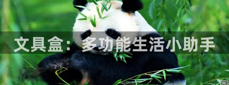 凤岗卧龙台球娱乐会所：文具盒：多功能生活