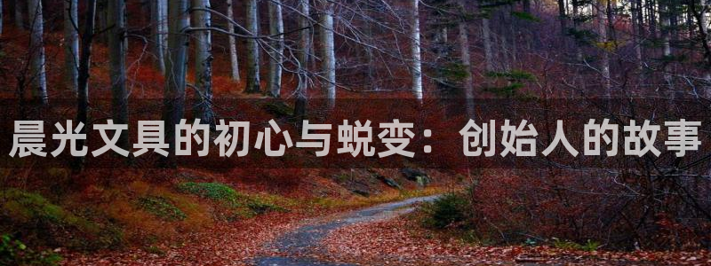 卧龙湾娱乐购票：晨光文具的初心与蜕变：创