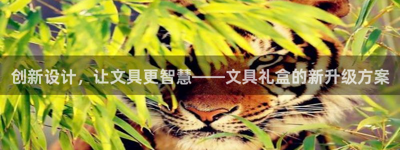 卧龙娱乐主管招聘：创新设计，让文具更智慧