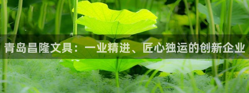 本溪卧龙休闲娱乐：青岛昌隆文具：一业精进