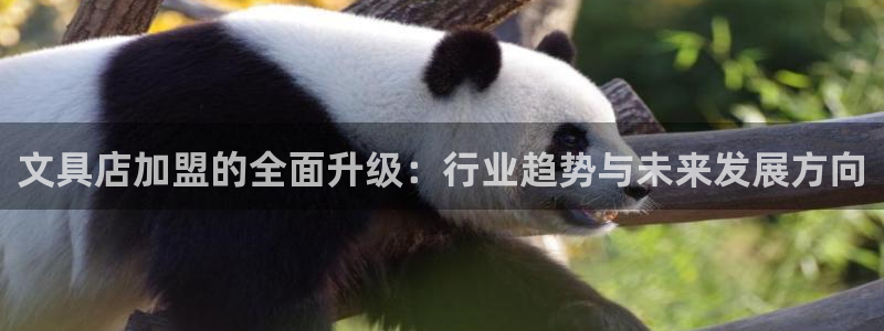 SKY娱乐卧龙主管60447：文具店加盟