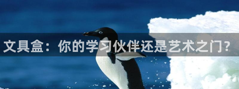 南阳卧龙区娱乐：文具盒：你的学习伙伴还是