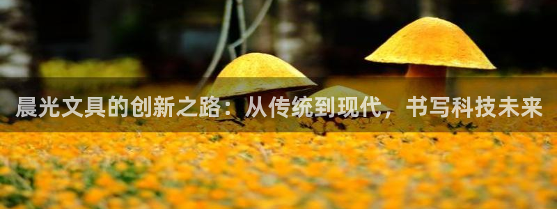 hr娱乐 卧龙主管60447：晨光文具的