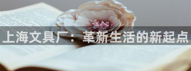 卧龙娱乐是什么意思：上海文具厂：革新生活