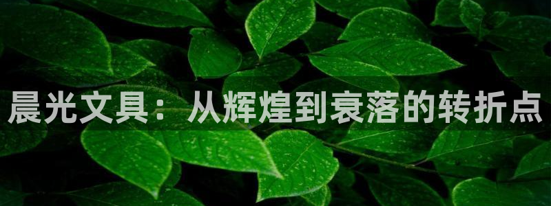 卧龙娱乐气垫项目投资：晨光文具：从辉煌到