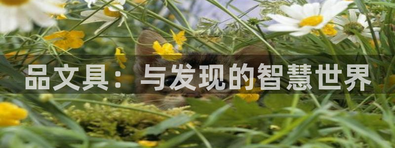 郑州卧龙娱乐设备：品文具：与发现的智慧世