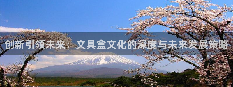 卧龙娱乐账号登录设置：创新引领未来：文具