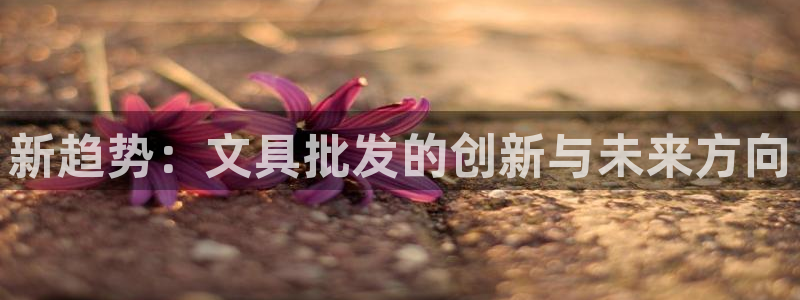 sky娱乐  0 47卧龙：新趋势：文具