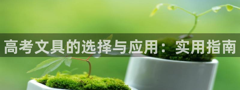 卧龙娱乐挂机平台：高考文具的选择与应用：