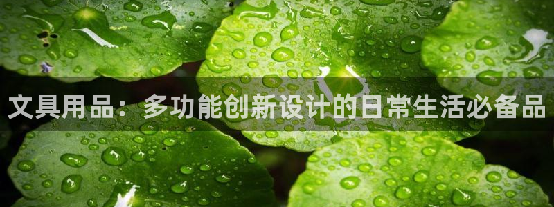 PT娱乐卧龙招商60447：文具用品：多