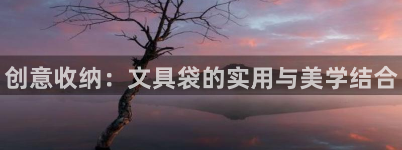 卧龙娱乐32二九01：创意收纳：文具袋的