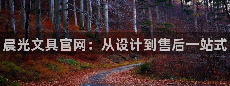 卧龙湖娱乐设施：晨光文具官网：从设计到售