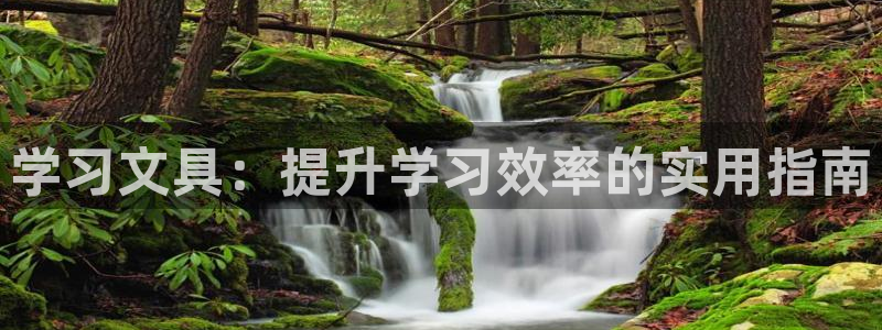 卧龙谷娱乐：学习文具：提升学习效率的实用