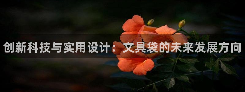 卧龙娱乐怎样注册账号啊：创新科技与实用设