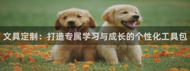 卧龙娱乐在线下载：文具定制：打造专属学习