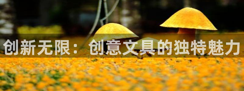 卧龙娱乐老板是谁呀图片：创新无限：创意文