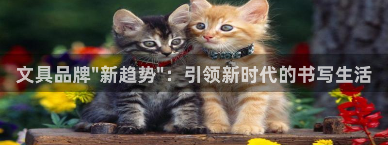 南阳卧龙娱乐会所评价：文具品牌\