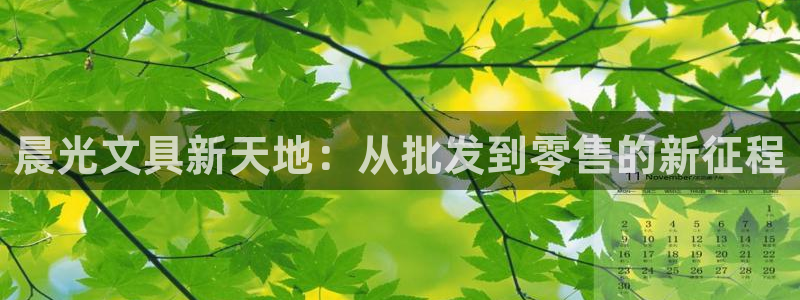 卧龙娱乐过山车：晨光文具新天地：从批发到