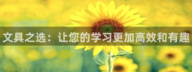 PT娱乐卧龙主管60447：文具之选：让