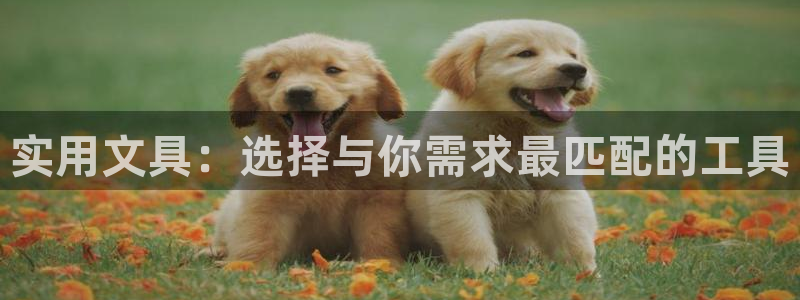 卧龙湾娱乐设施：实用文具：选择与你需求最