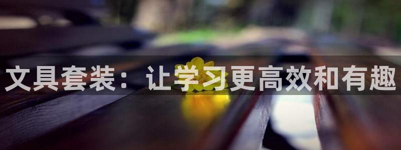 卧龙娱乐下载安装：文具套装：让学习更高效