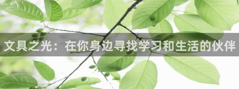 卧龙区娱乐会所：文具之光：在你身边寻找学