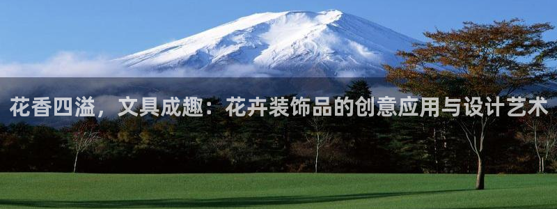 卧龙镇娱乐：花香四溢，文具成趣：花卉装饰