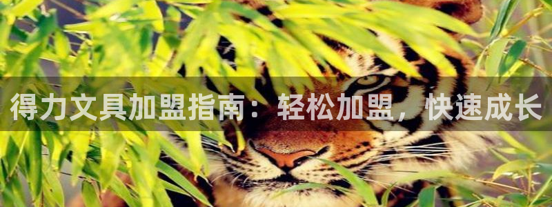 卧龙棋牌娱乐官网首页：得力文具加盟指南：