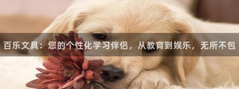 卧龙湾娱乐项目有哪些：百乐文具：您的个性