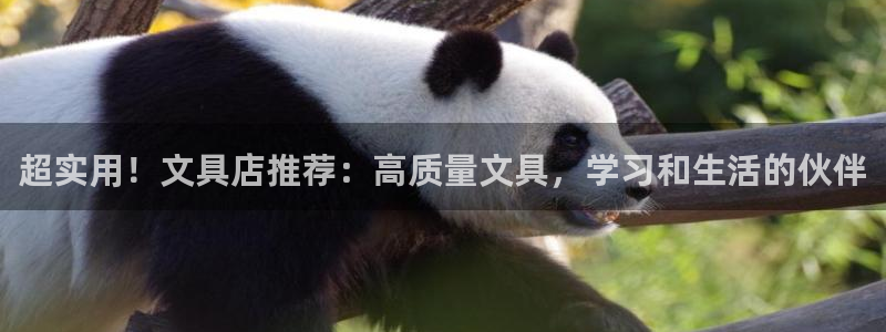 卧龙娱乐app彩票计划：超实用！文具店推