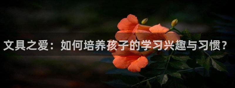 南阳卧龙娱乐厂招聘：文具之爱：如何培养孩