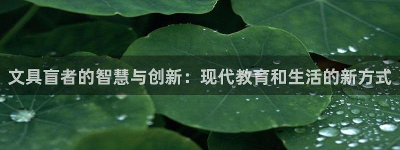 辣椒娱乐卧龙凤雏：文具盲者的智慧与创新：