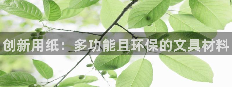 卧龙区娱乐会所：创新用纸：多功能且环保的