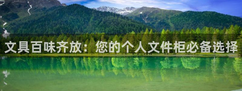 卧龙娱乐怎样：文具百味齐放：您的个人文件