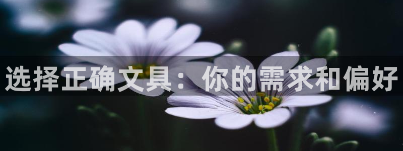 南阳卧龙站到尊上娱乐：选择正确文具：你的