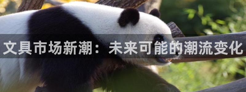 南阳卧龙娱乐厂招聘：文具市场新潮：未来可