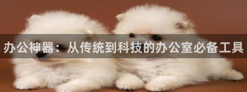 卧龙娱乐322901：办公神器：从传统到