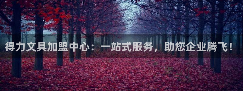 卧龙娱乐招商代理是谁：得力文具加盟中心：